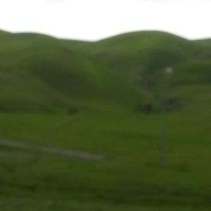 Meet your Posher, Jasdeep